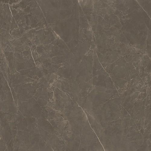 Porcelanato Castellon Bw Polido - 120x120cm Retificado