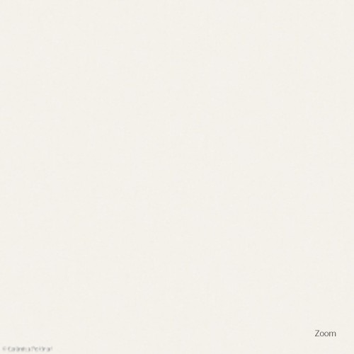 Porcelanato Monocromatico Matte 30x90cm Branco - Portinari Evidence Diamante Retificado