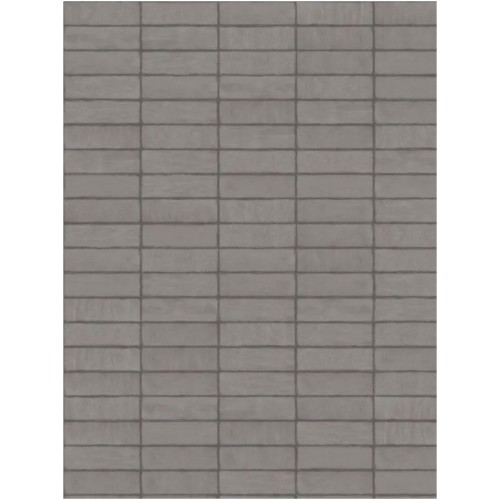 Porcelanato Decorado Lux 8x25cm Cinza - Portinari Versos Gr Bold