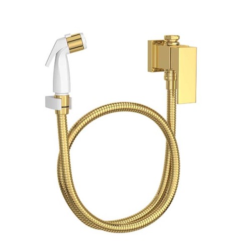 Ducha Higiênica com Registro e Derivação de Parede Gold