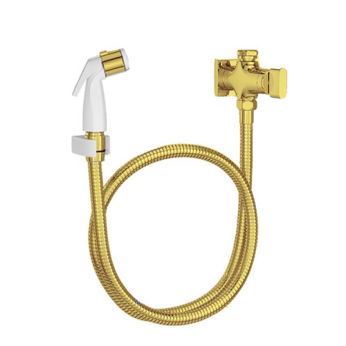 Ducha Higiênica com Registro e Derivação de Parede Gold